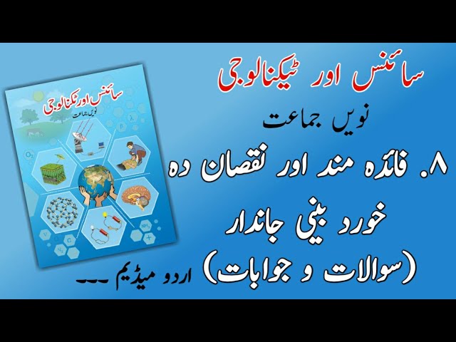 9TH  -  Science - 2 ( Chapter 8 )